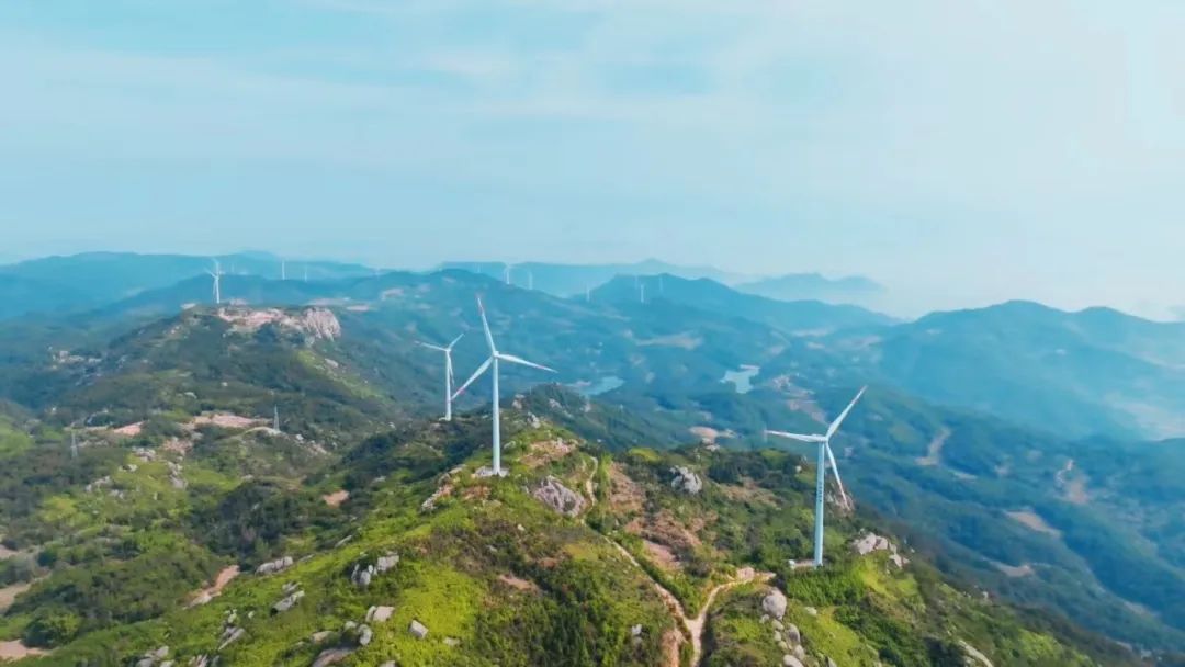 【深入拓展“三争”行动】市k8凯发天生赢家公司：向绿而行 “碳”路将来